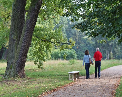 People walking in a park